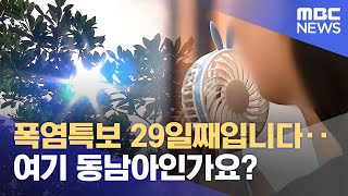 중산간까지 폭염경보‥ 온열질환자 70명 육박 (2024.08.05/뉴스데스크/제주MBC)