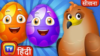 वन्यजीव पक्षी जादुई अंडे (Wildlife Birds Magical Surprise Eggs) - ChuChu TV Surprise for Kids