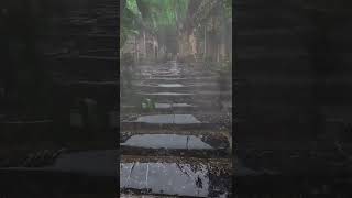 听雨是一种宣泄，看雨是一种解压。当你心情不好 烦躁不安的时候就来翻翻我的作品，一定会让你慢慢平静下来。