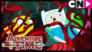 Adventure Time | Finn Meets His Hero | Cartoon Network