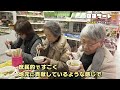 ロコマート【吹雪の中でも配達に！鯵ヶ沢町で愛されるスーパーかさい】