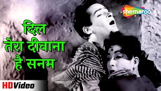 दिल तेरा दीवाना है सनम | Dil Tera Deewana (1962) | Shammi Kapoor, Mala Sinha | Mohd Rafi & Lata Duet