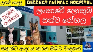 Biggest Animal Hospital in Sri lanka - ලංකාවේ ලොකුම සත්ව රෝහල -   vet4pet -