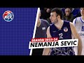 Nemanja Sevic (PF 202cm) - Highlights (2023-24)