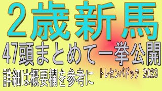 2歳新馬・47頭一挙にまとめてご紹介。名前、母親などの詳細は概要欄を参照してください。　トレセンパドック2023