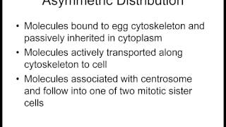 Lecture 5 Asymmetric Distribution