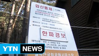 동장군 맹위...한낮에도 꽁꽁·입산통제 확대 / YTN