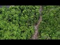 雙潭石澗｜新手石澗｜溯澗｜行山 航拍視覺 sheung tam stream｜beginner｜river tracing｜hiking in hong kong drone view