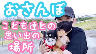 【老犬介護No.107】🐶 お散歩 🐾