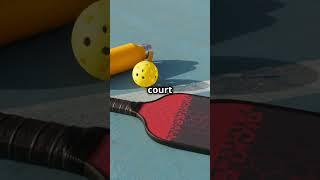 Pickleball: The Next Big Thing in Sports (Beginner's Guide)