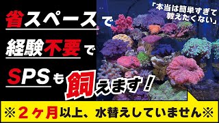 予算◯万円？！サンゴが誰でも簡単に飼えちゃう水槽セットが出ました！簡単過ぎて水替えも忘れちゃう？！