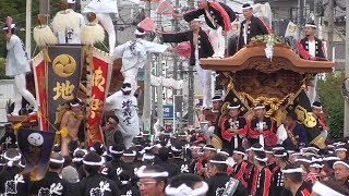 平成29年10月7日貝塚市だんじり祭り　南近義地区外周パレード