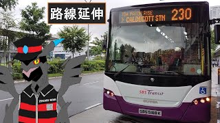 [全区間前面展望] 路線延伸後 230 Caldecott Stn - Lorong 1A - Lorong 8・7 Toa Payoh (循環) SBS5188K, SBS Transit スカニア