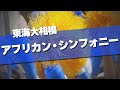 東海大相模 アフリカン・シンフォニー 応援歌 2024夏 第106回 高校野球選手権大会