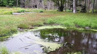 北海道・置戸町付近（正確な場所不明）