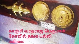 காஞ்சிபுரம் வரதராஜ பெருமாள் தங்க பல்லி மகிமை : Golden Lizard : 21.12.21