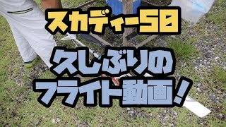 【ラジコンヘリ】スカディーフライト動画！