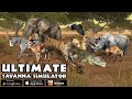 Vulture VS  Elephant, Lion, Hippo, Rhino, Cheetah, Ultimate Savanna Simulator