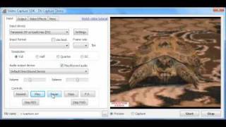 Video Capture SDK - DV Preview Tutorial