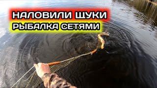 Удачная РЫБАЛКА СЕТЯМИ на ОЗЕРЕ | наловили ЩУКИ и СОРОГИ