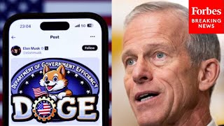 ‘I’m A Big Fan Of DOGE’: John Thune Touts Elon Musk \u0026 Vivek Ramaswamy’s New Commission