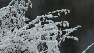 Зимняя природа, прогулка по лесу под красивую музыку