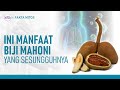 Bedah Nutrisi Biji Mahoni, Benarkah Atasi Diabetes? | Hidup Sehat tvOne