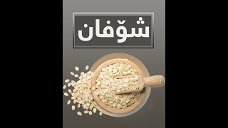 شۆفان لە نێوان ئالیکی ئاژەڵ و دانەوێڵەیەکی بەسوود