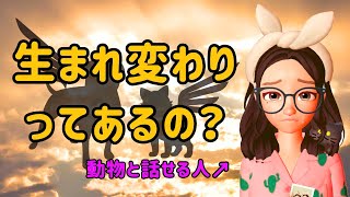 【転生】また来てくれる？