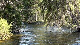 Suomunruoktu autiotupa Urho Kekkosen Kansallispuisto Saariselkä Lapin erämaa