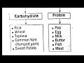 class 6 basic science christmas exam answer class6