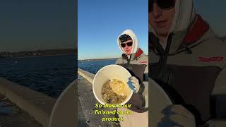 The Rarest Saltwater Fish in New Jersey