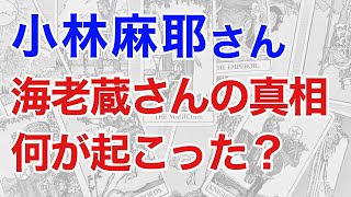 小林麻耶さんの真相を占うと、海老蔵さんの心理に驚くべき事実が見えた! 真実は何かを鑑定する（タロット）