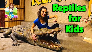 Reptiles for Kids | Educational Videos