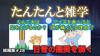 【睡眠導入用】たんたんと雑学（雑学シリーズ総編集 #28）【朗読・作業用・睡眠用BGM・聞き流し・リラックス・不眠症対策/トリビア・豆知識・小話・うんちく】毎日21時に更新中！