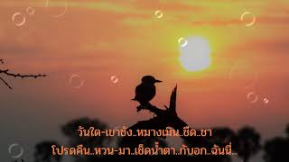 เช็ดน้ำตากับอกฉัน - เดอะฮอทเปปเปอร์ซิงเกอร์