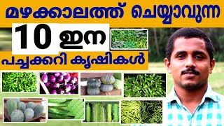 മഴക്കാലത്ത് ചെയ്യാവുന്ന 10 തരം പച്ചക്കറി കൃഷികൾ! 10 types of vegetables for cultivating rainy season