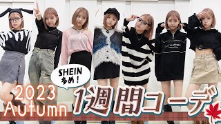 【1週間コーデ】SHEIN多めの秋コーデ紹介していきます！！