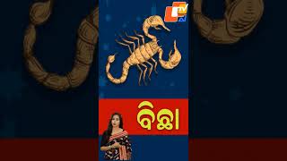 ଆଜି ଆପଣଙ୍କ ଭାଗ୍ୟ: ବିଛା ରାଶି #horoscope #AiLisa #LisaAi #LisaTips