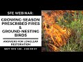 SFE Webinar: Growing-Season Prescribed Fires and Ground-Nesting Birds