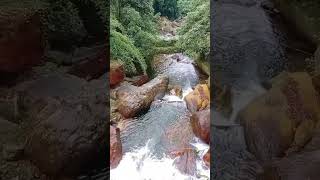 #Nature #Way to Chisang #Paren-Today Rd#Today Tangta Khasmahal #West Bengal #ytshorts