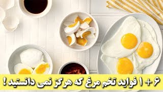 6 + 1 فواید تخم مرغ که هرگز نمی دانستید ! | ANA TV