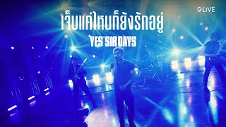 gLIVE | Yes’sir Days - เจ็บแค่ไหนก็ยังรักอยู่