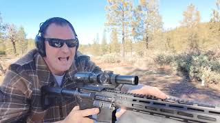 Wilson Combat Protector AR-15       FIRST SHOTS!!