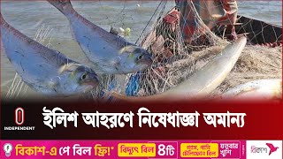 অভিযান চললেও নির্দেশ না মানার প্রবণতা বেড়েছে || Hilsha || Independent TV