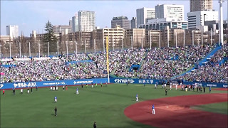 ヤクルト 東京音頭 ラッキーセブン