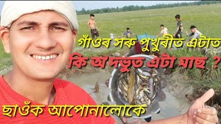 গাওঁৰ এটা সৰু পুখুৰীত কি অদ্ভুত মাছ ছাওক আপোনালোকে🏞🥰👌