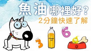 脂肪酸/Omega-3/Omega-6是什麼？2分鐘快速了解 │愛寶寵新知 AIPAWs X 保健知識家