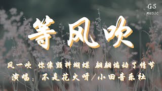 不是花火呀/小田音乐社 - 等风吹「风一吹 你像颤抖蝴蝶 翩翩煽动了情节」【动态歌词】