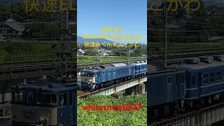 快速ELぐんまよこかわ #train #railway #trainvideo #鉄道 #railroad